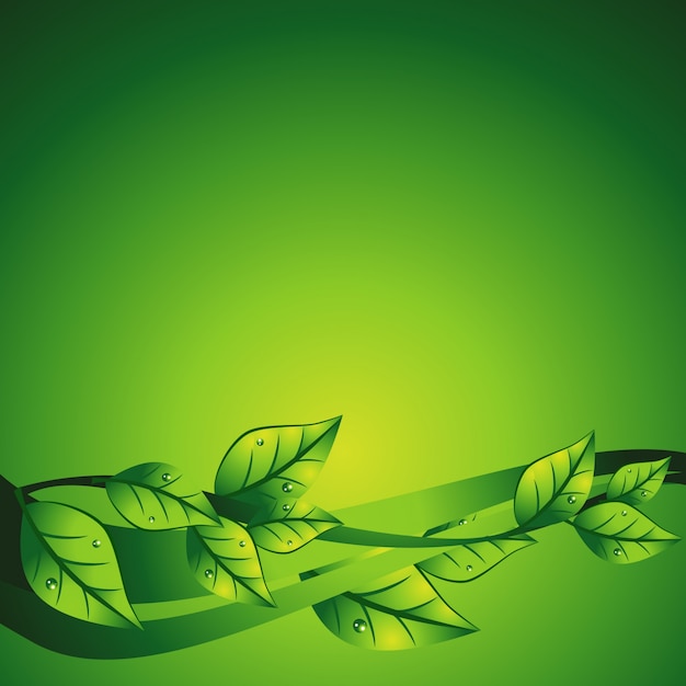 Vert abstrait vague illustration vectorielle avec feuille
