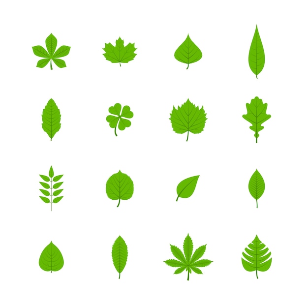 Vert, arbres, feuilles, plat, icônes, ensemble, chêne, tremble, linden, érable, châtaigne, trèfle, plantes, isolé, vecteur, illustration