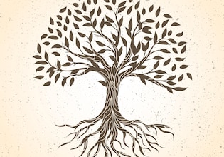 illustration de l'arbre