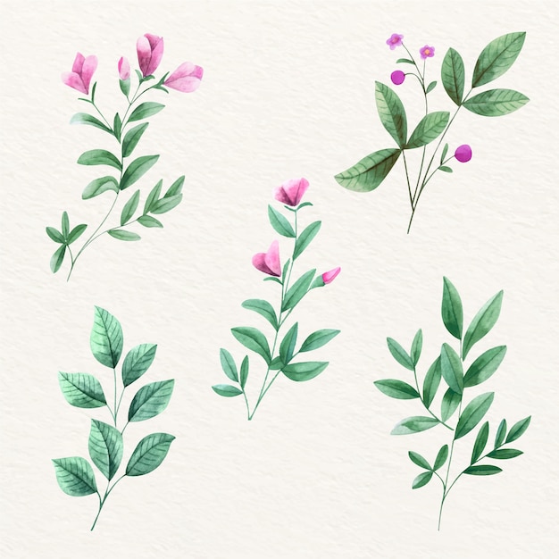 Violet belles fleurs et feuilles
