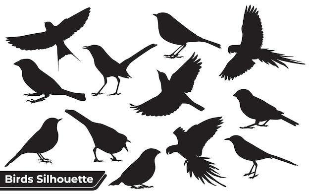 Voler différents types d'oiseaux silhouette avec des ailes