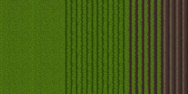 Vue de dessus du champ agricole avec herbe verte et sol labouré. Fond de dessin animé de vecteur de terre de campagne, plantation avec sillon sur le sol et rangées de plantes cultivées