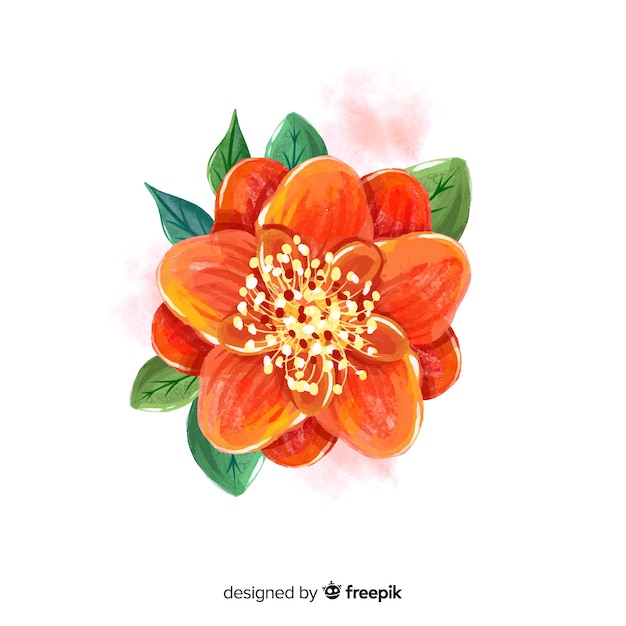 Vue de dessus fleur orange avec des feuilles