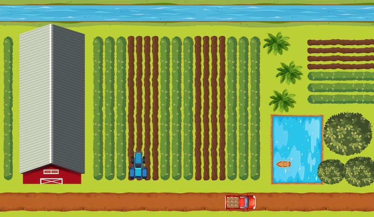 Vecteur gratuit vue de dessus des terres agricoles avec des cultures