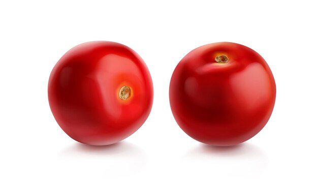 Vue différente de tomate cerise tomates rouges