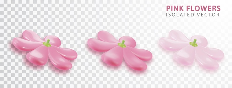 Vecteur gratuit vue de fleurs réalistes roses d'en haut réaliste isolé fleur fleur sakura design illustration d'arbre de printemps
