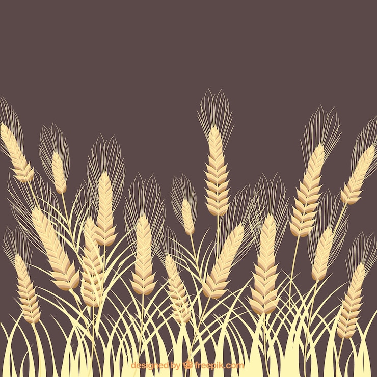 Vecteur gratuit wheat ears fond