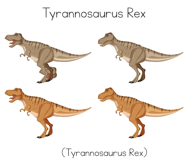 Wordcard Tyrannosaurus Rex sur fond blanc