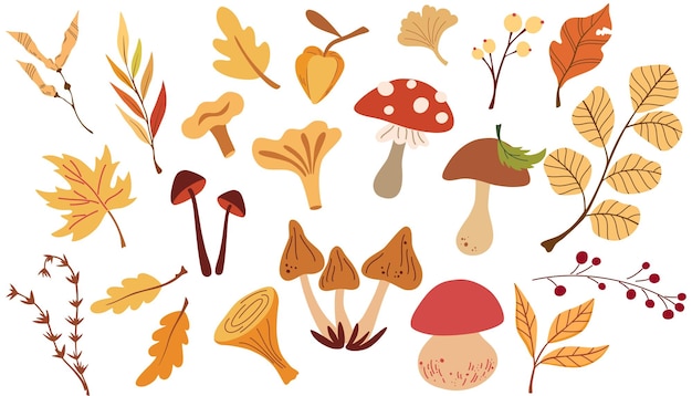 0574_automne
