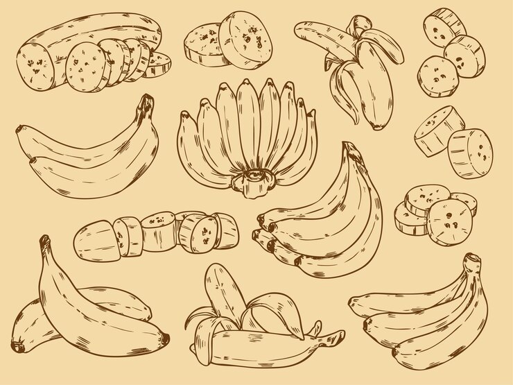 Vecteur 318 dessin du contour de la banane