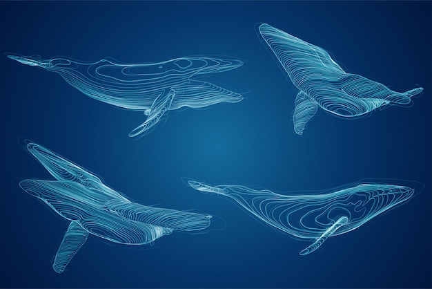 3d vector set protection de l'océan grosse baleine bleue