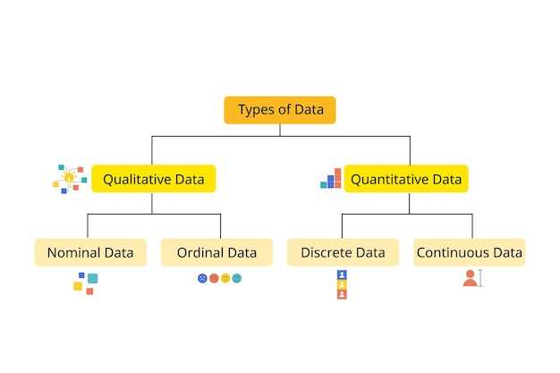 Vecteur 4 types de données avec des données nominales ordinales discrètes et continues