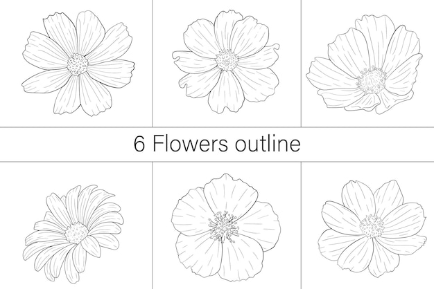 6 Contour De Fleurs Fleurs Clipart