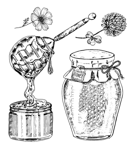 Vecteur abeille et miel d'hydromel et de fleurs et d'apiculture vecteur gravé à la main dessiné vieille esquisse vintage pour