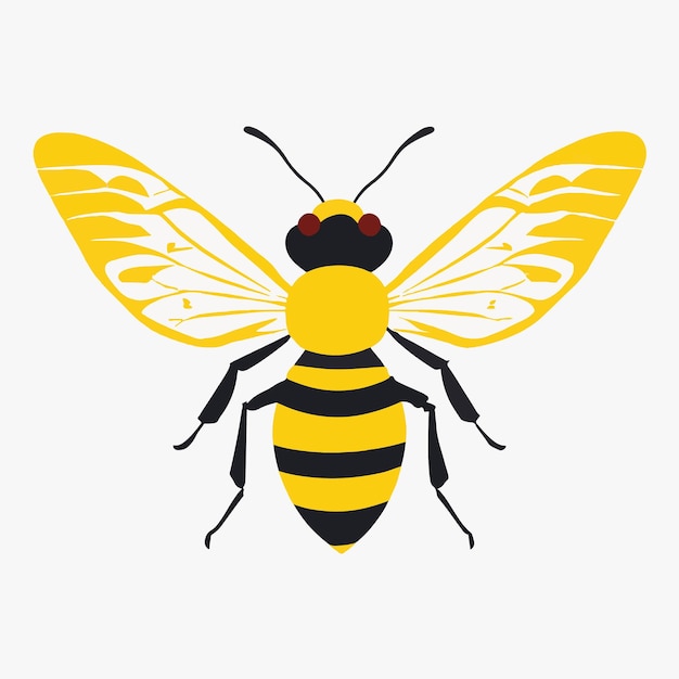 Une abeille avec des rayures jaunes et noires est sur un fond blanc