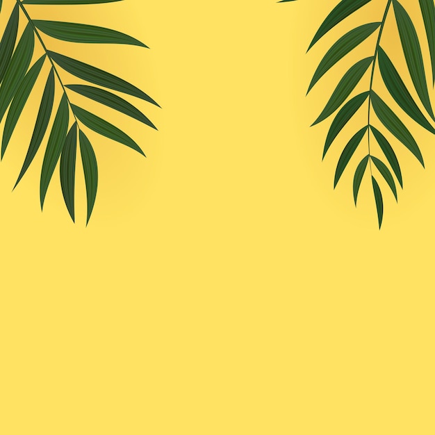 Abstrait Réaliste Feuille De Palmier Vert Tropical