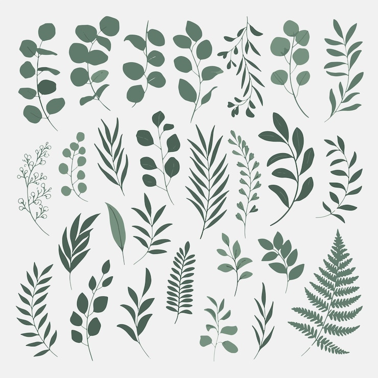 Vecteur accents de verdure