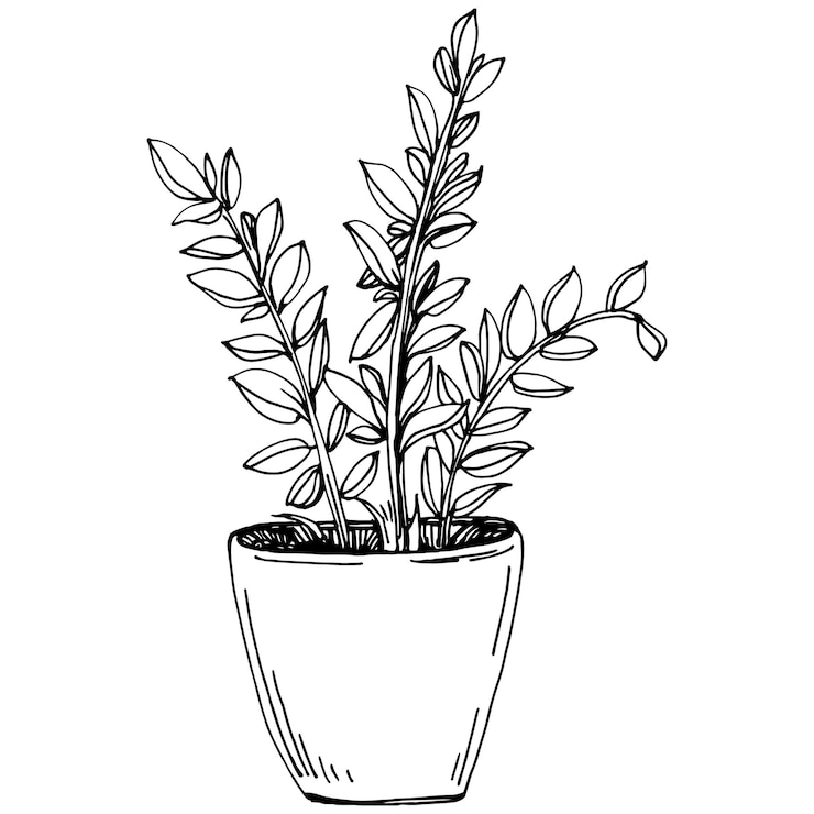 Vecteur accueil plante en pots croquis. dessin de contour illustration isolée de la croissance des fleurs dans une plante suspendue pour la décoration intérieure de la maison ou du bureau. vecteur de fleurs de jardin.