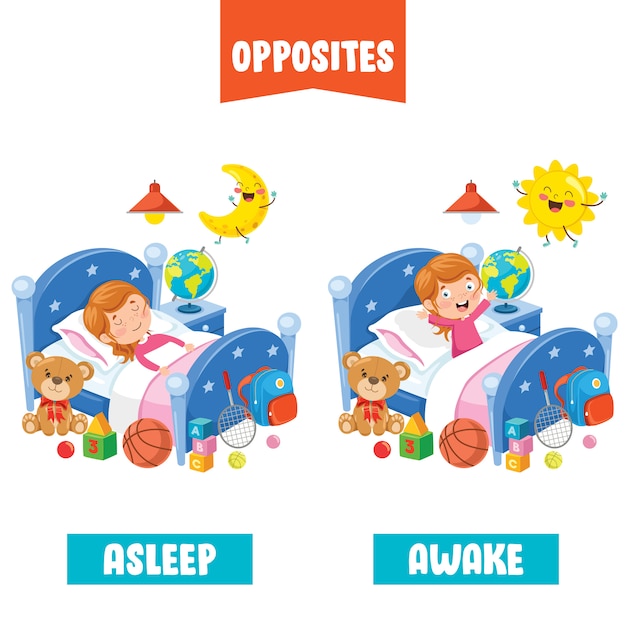 Adjectifs opposés avec des dessins animés