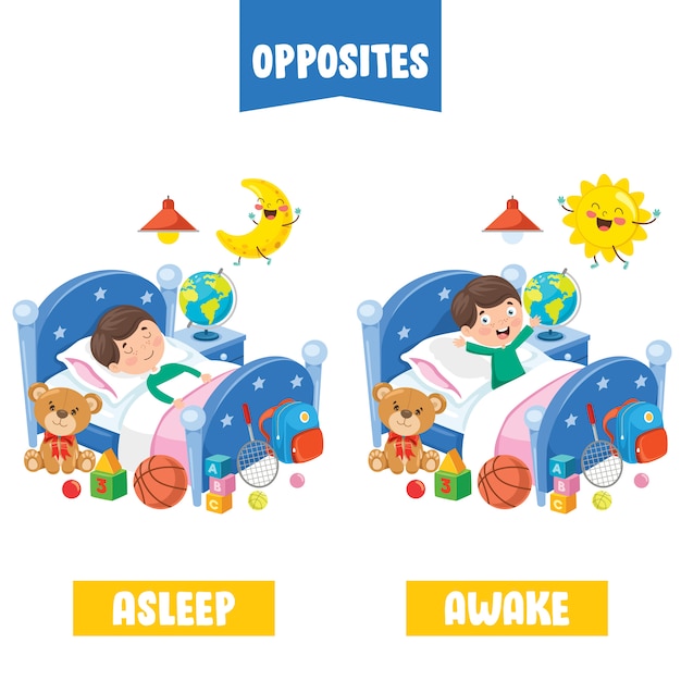Adjectifs opposés avec des dessins animés