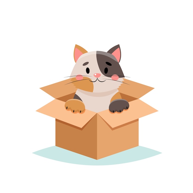 Adopter un animal de compagnie - chat mignon dans une boîte, sur fond blanc