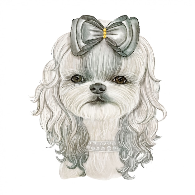 Vecteur adorable chien mignon aux cheveux bouclés avec illustration aquarelle de ruban