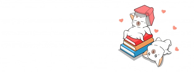 Adorables chats avec des livres