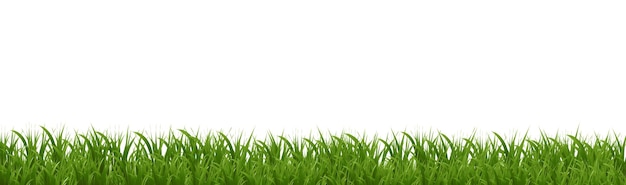 Affiche blanche isolée à la frontière de l'herbe verte