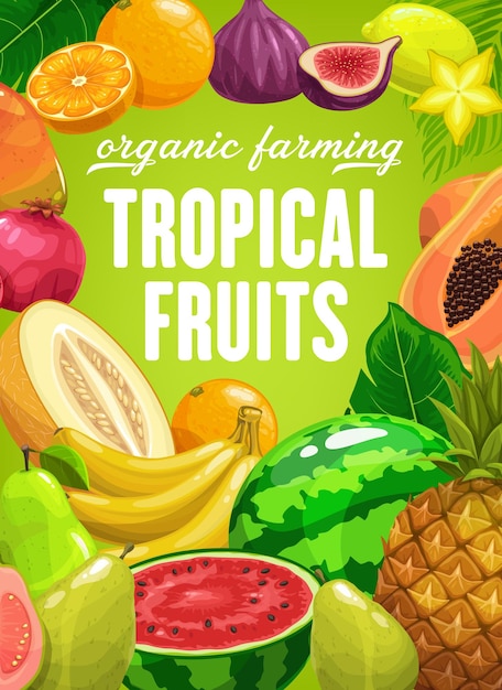 Affiche de dessin animé agricole de vecteur de fruits tropicaux