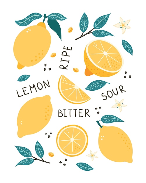 Affiche Dessinée à La Main De Fruits Au Citron. Illustration Vectorielle D'agrumes, De Feuilles, De Graines Et De Fleurs De Style Doodle Pour Le Logo, L'impression, La Bannière, L'arrière-plan, L'étiquette, Le Papier D'emballage, Le Menu, La Conception Et La Décoration Des Emballages Alimentaires