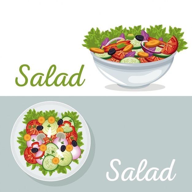 Vecteur affiche de dîner de nutrition de salade de légumes