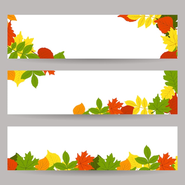 L'affiche est un thème d'automne à la mode Les feuilles sont en chêne bouleau tremble érable Espace pour la copie