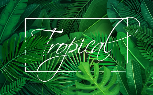 Vecteur affiche avec des feuilles tropicales