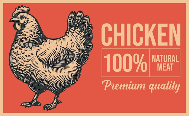Affiche de gravure vintage d'une ferme de volailles pour des menus de restaurants pour l'emballage dans les marchés et les chaînes de viande
