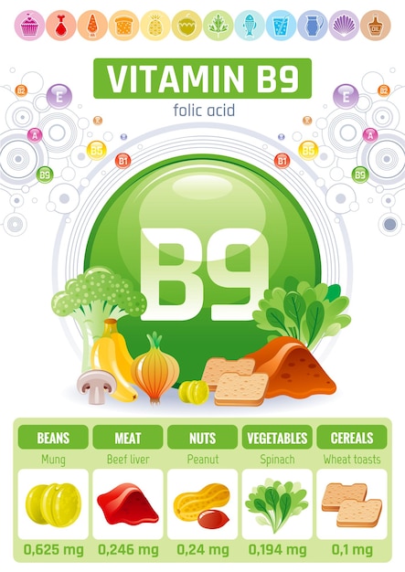 Affiche D'infographie Alimentaire Vitamine B9 Acide Folique. Conception De Compléments Alimentaires Sains