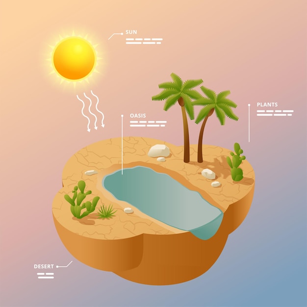 Affiche D'infographie Isométrique De Paysage Désertique Avec Oasis De Soleil Dans Les Sables Et Les Plantes Du Sud Illustration Vectorielle