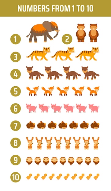 Vecteur affiche mathématique pour enfants mignons avec éléphant tigre ours chien hérisson lapin cochon poulet chouette