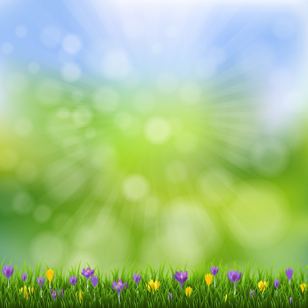 Affiche nature fleurs de printemps avec de l'herbe