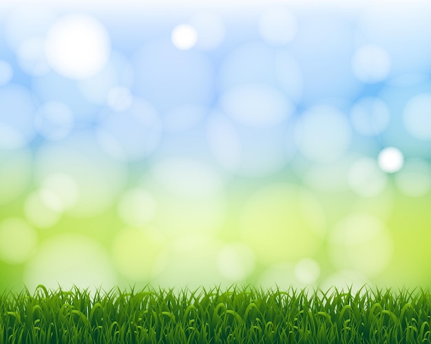 Affiche de la nature verte Bokeh Arrière-plan Frontière de l'herbe