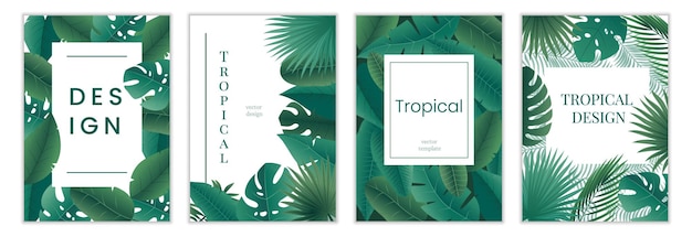 Affiches Avec Des Feuilles Tropicales Bannières Avec Feuillage Exotique De La Jungle Feuilles De Bananier Vector Set