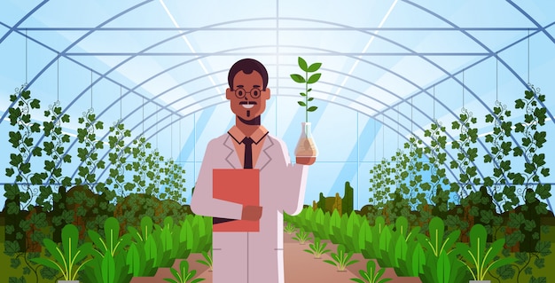 Vecteur african american scientist examinant un échantillon de plante dans un tube à essai à effet de serre en verre moderne de l'intérieur de la recherche scientifique agriculture agriculture concept plat horizontal portrait