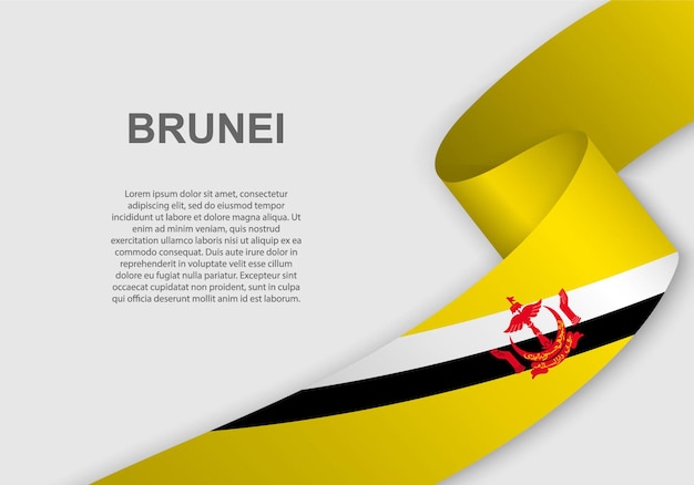 Agitant Le Drapeau Du Brunei.