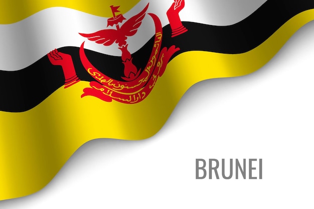 Agitant Le Drapeau Du Brunei.