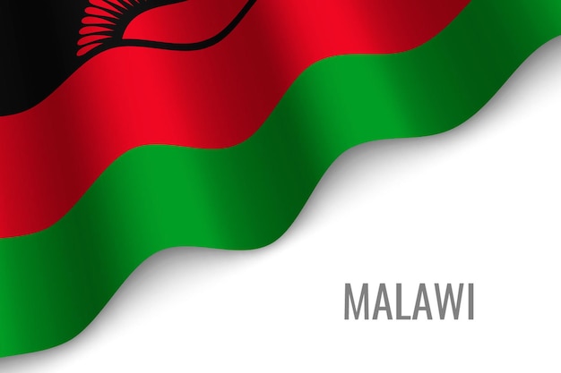 Agitant Le Drapeau Du Malawi