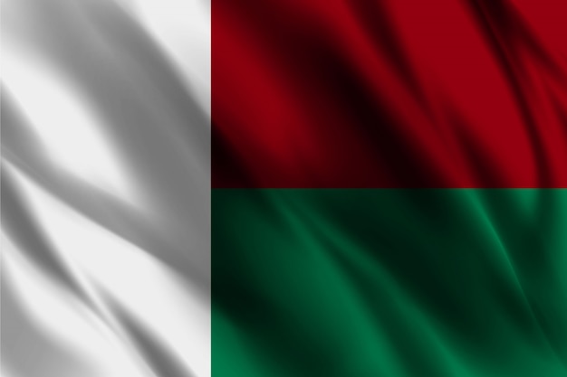 Agitant Le Drapeau De Madagascar Abstrait