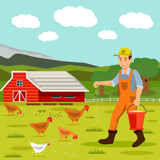 Agriculteur Mâle Mangeant Des Poulets Illustration Vectorielle