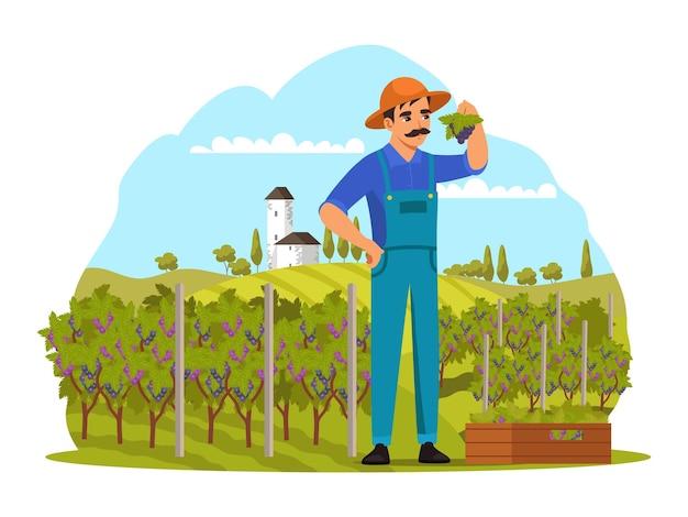 Vecteur agriculteur tenant des raisins dans le jardin mangeant et buvant des raisins en croissance pour produire du vin dans une ferme avec des arbres heureux homme souriant debout en plein air tenant une branche
