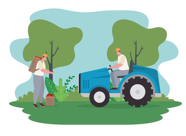 Agriculteurs Hommes Avec Tracteur