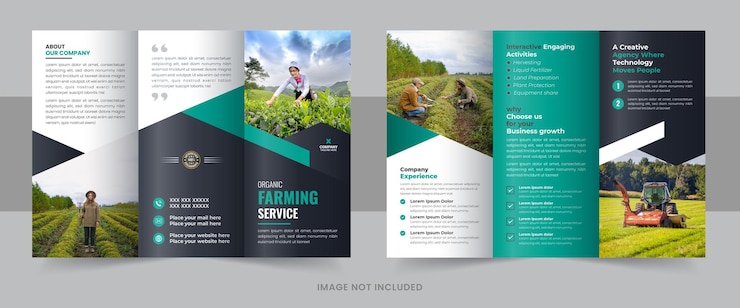 Vecteur l'agriculture créative est un modèle de brochure de services d'agriculture, un dépliant d'agro-ferme, une agriculture biologique triple.