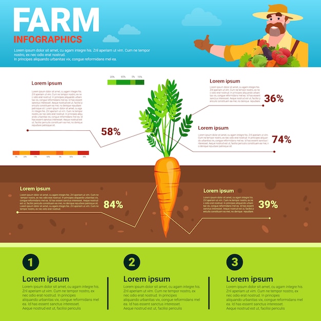 Agriculture Infographie Bio écologique Naturel Naturel Croissance Végétale Bannière